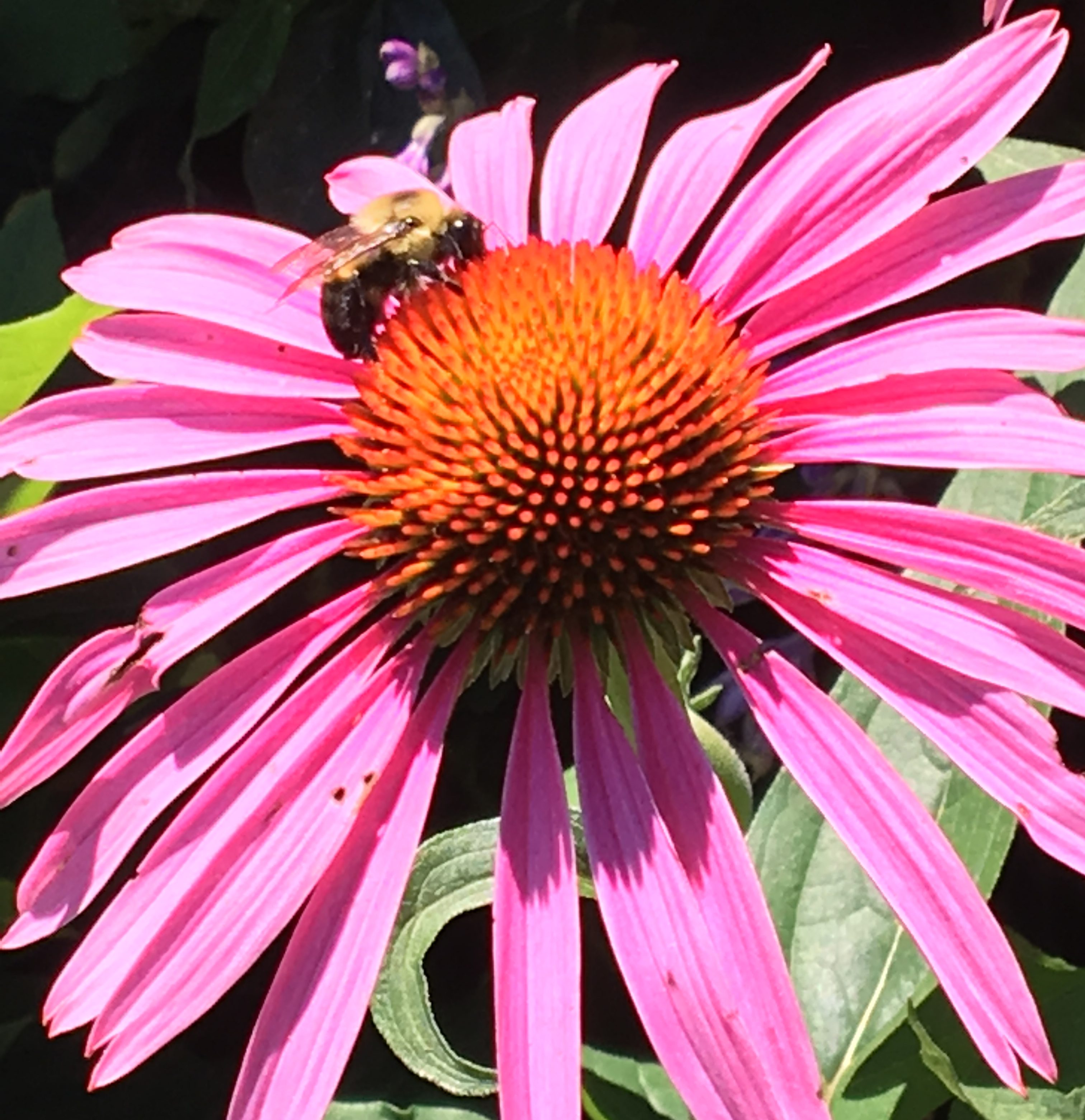 A Life About Anything, Everything, Nothing At All