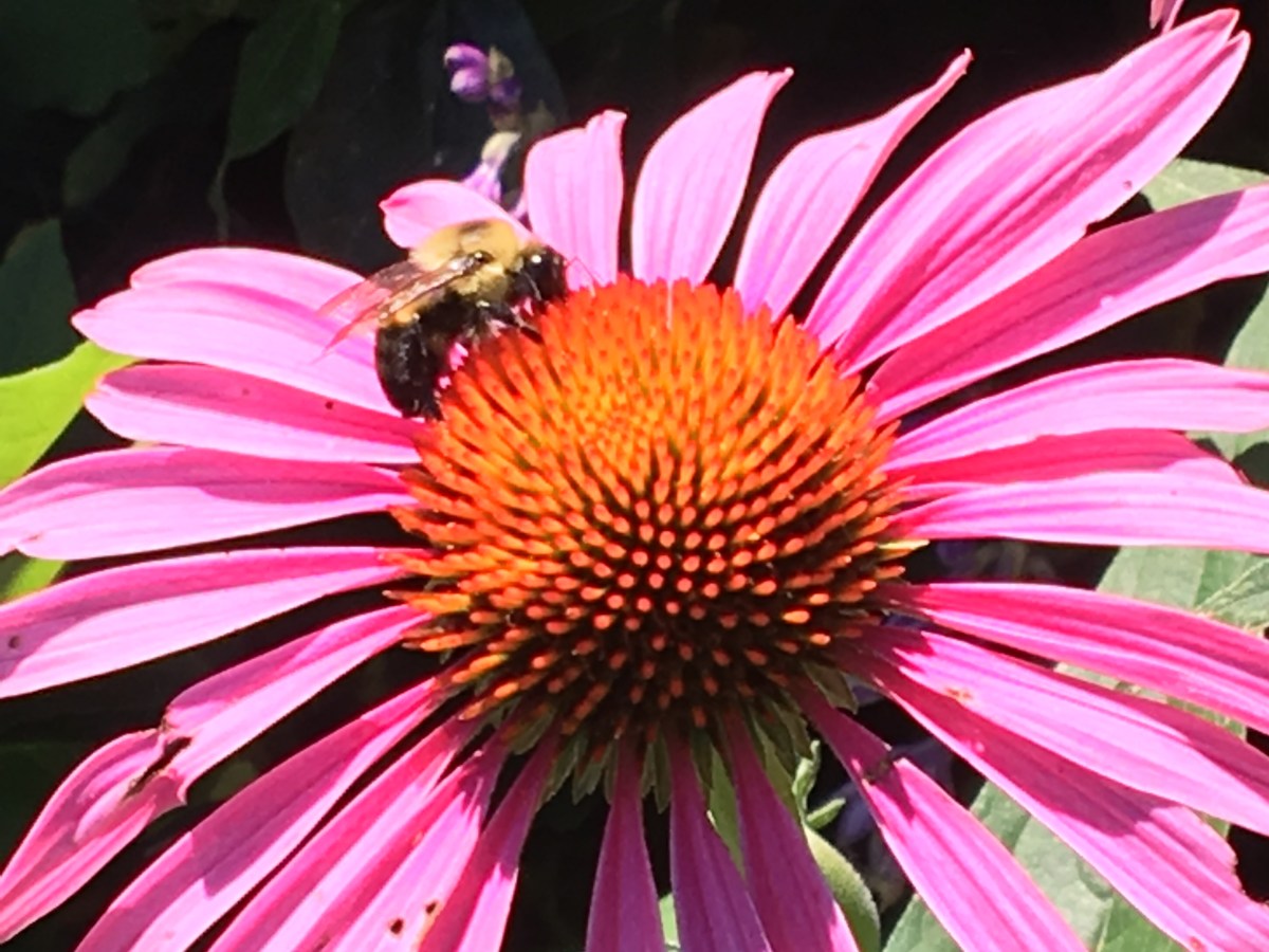 And so to&nbsp;begin…